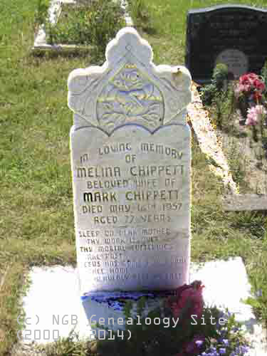 Melina Chippett