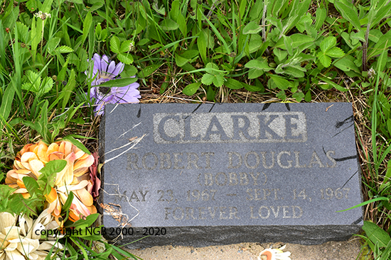 RobertDouglas Clarke