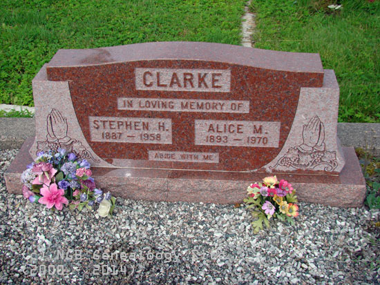 Stephen and Alice Clarke