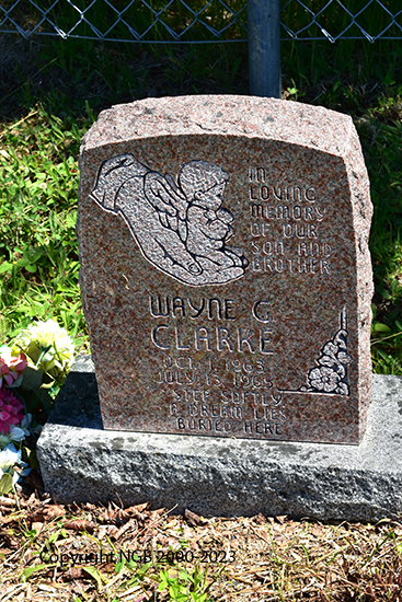 Wayne Clarke