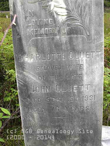 Charlotte Cluett