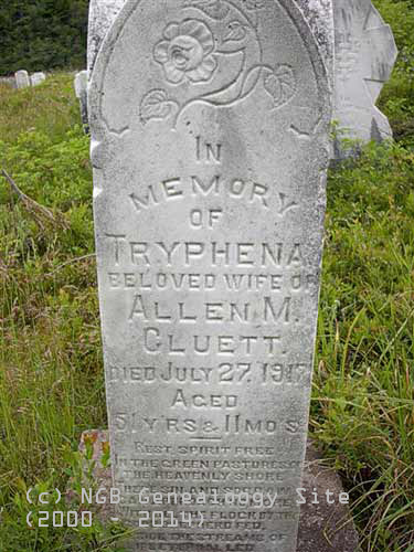 Tryphena Cluett