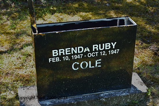 Brenda Ruby Cole