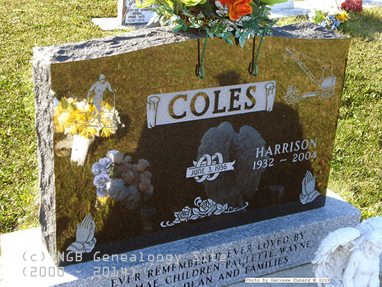 Harrison Coles