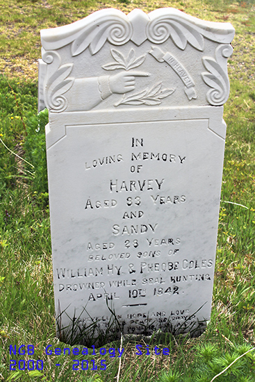 Harvey & Sandy Coles