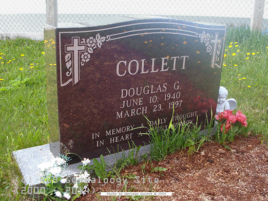 Douglas G. Collett