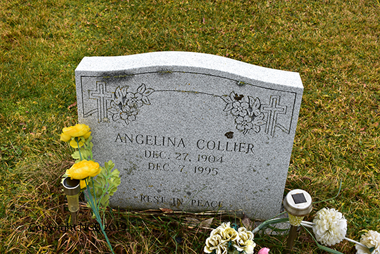 Angelina Collier
