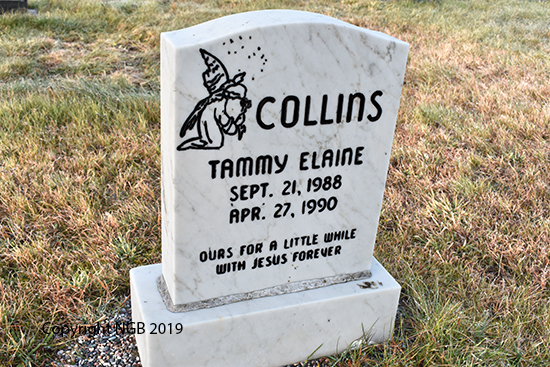 Tammy Elaine Collins