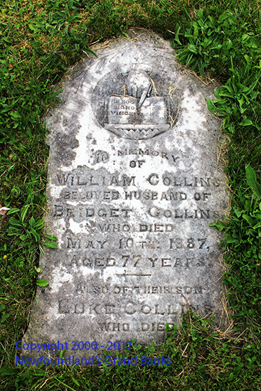 William & Luke Collins