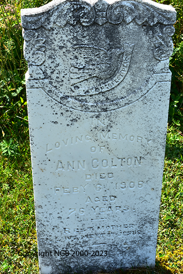 Ann Colton