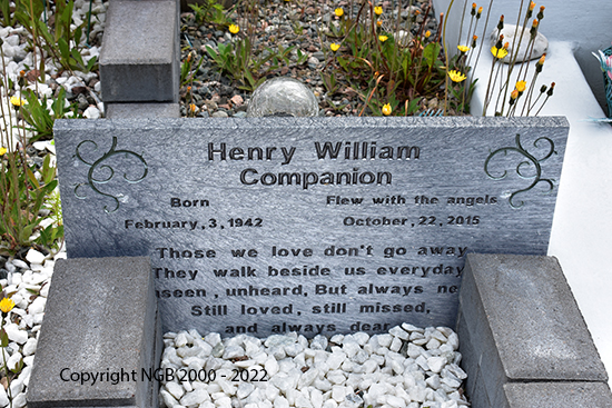 Henry William Companion