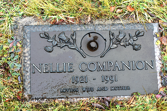 Nellie Companion