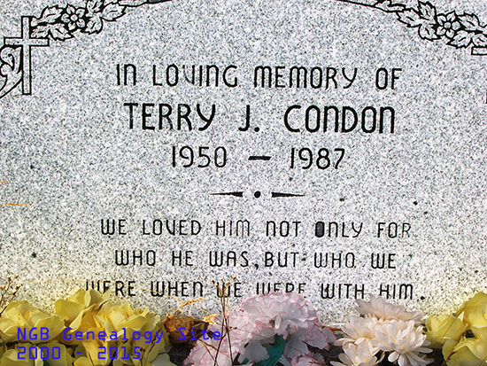 Terry J. Condon