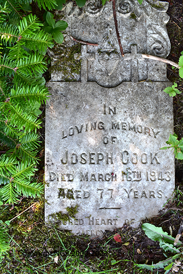 Joseph Cook