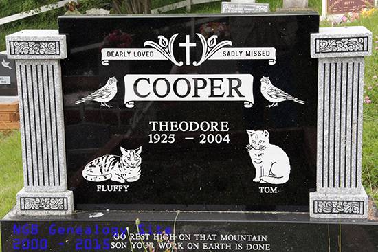 Theodore Cooper