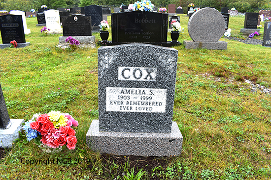 Amelia S. Cox