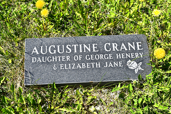 Augustine Crane