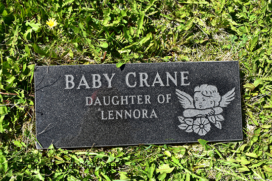 Baby Crane