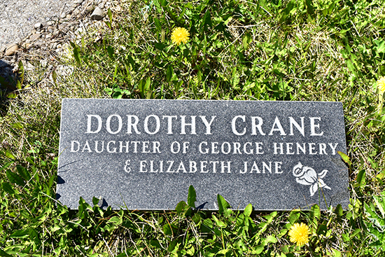 Dorothy Crane