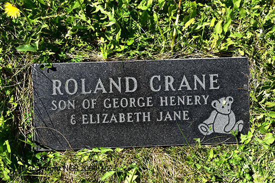 Roland Crane