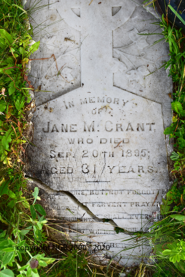 Jane M. Crant