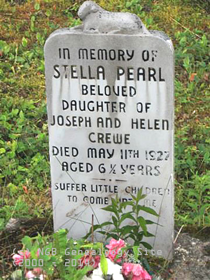 Stella Pearl Crewe