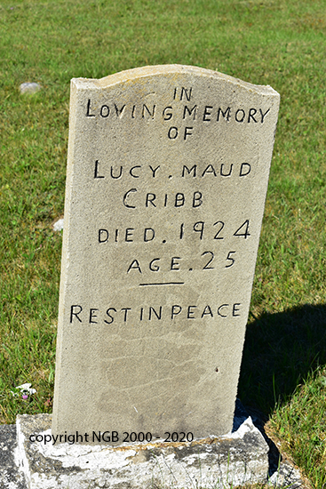 Lucy Cribb