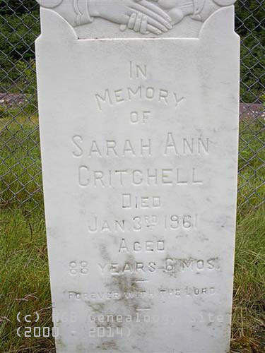 Sarah Ann Critchell