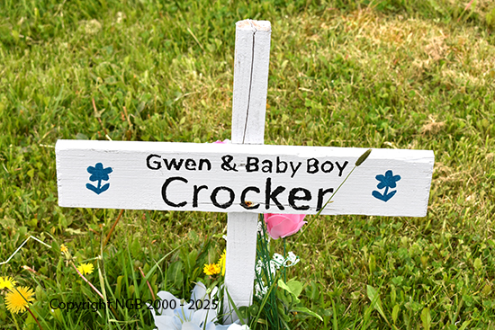 Gwen & Baby Boy Crocker