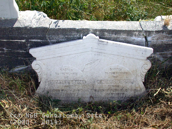 Elizabeth and William Cross