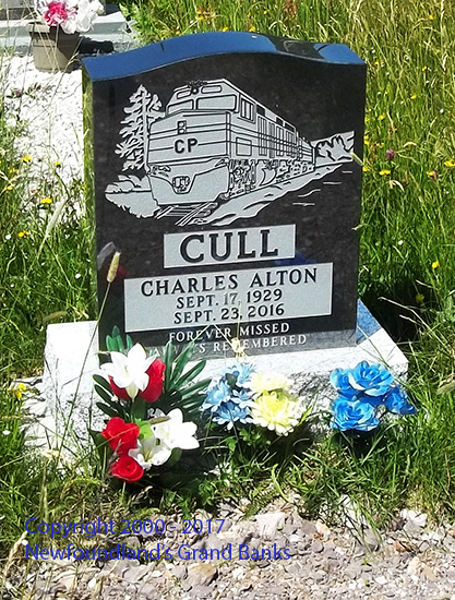 Charles Alton Cull