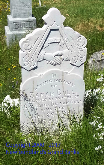 Sarah Cull