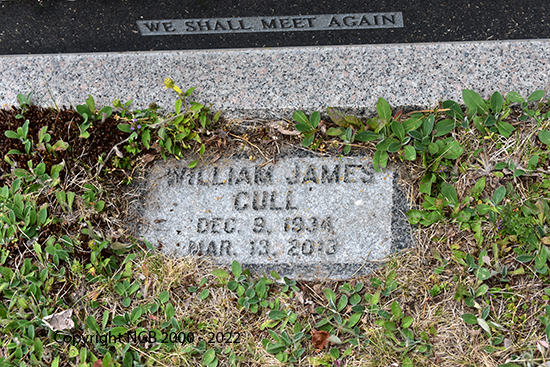 William M., Ella E. & William James Cull