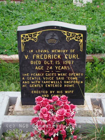 V. Frederick Curl