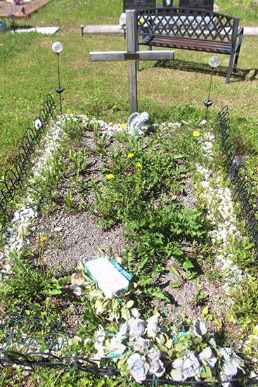 Melvin Stanley Curlew