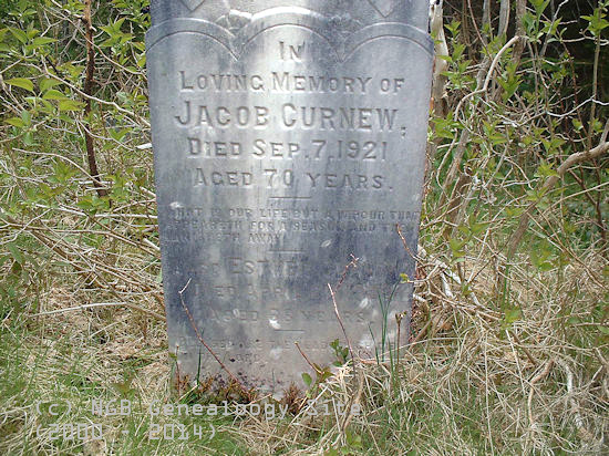 Jacob & Esther Curnew