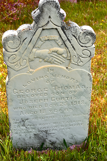 George Thomas Curtis