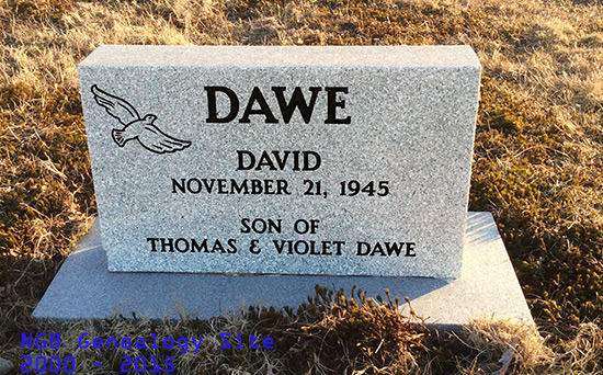 David Dawe