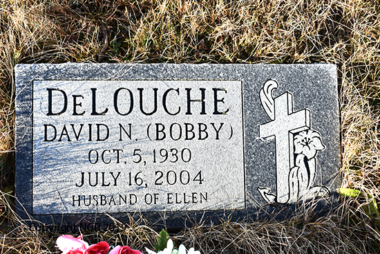 David N. DeLouche