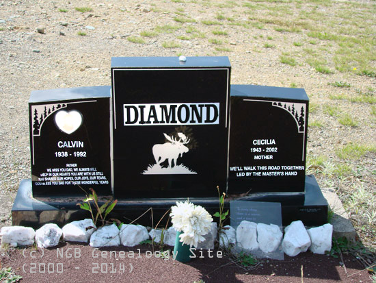 Calvin and Cecilia Diamond