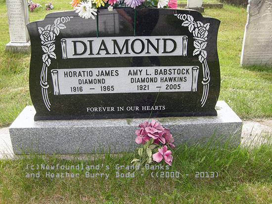 Horatio James and Amy L. Babstock Diamond