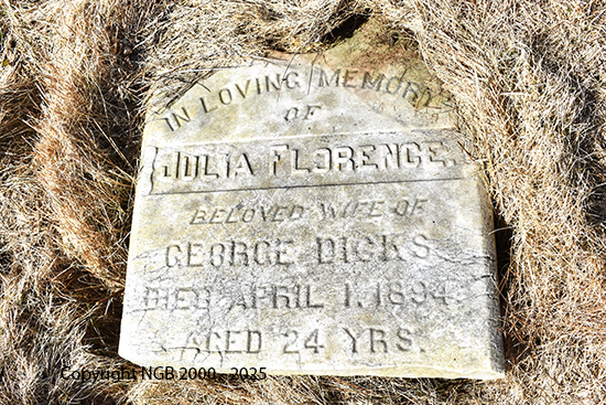 Julia Florence Dicks