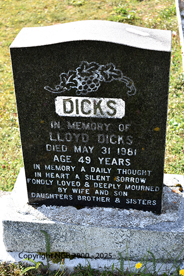 Lloyd Dicks