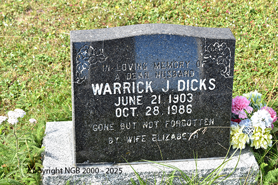 Warrick J. Dicks