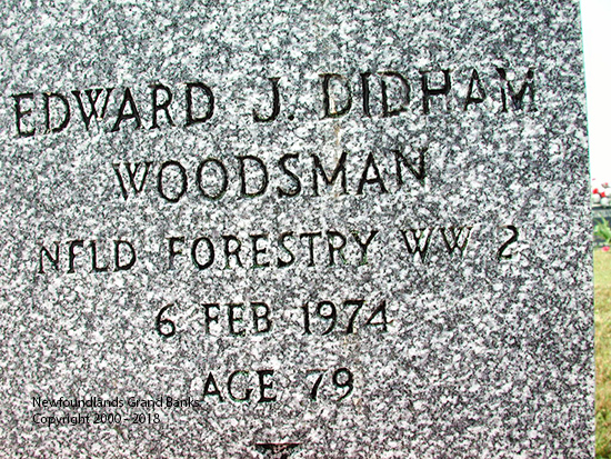 Edward J. Didham