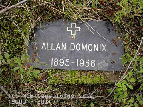 Allan Domonix