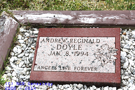Andrew Reginald Doyle