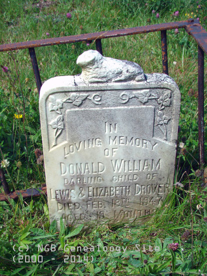 Donald William Drover