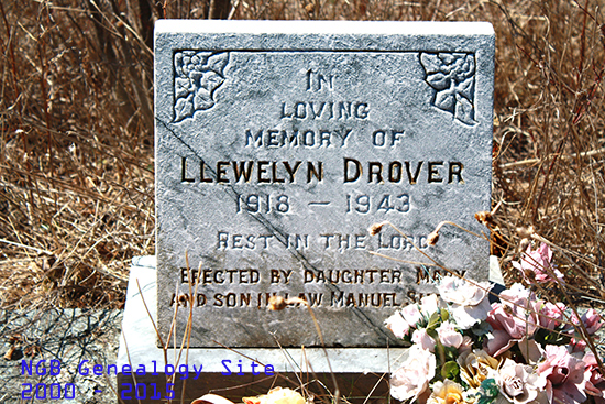 Llewwlyn Drover