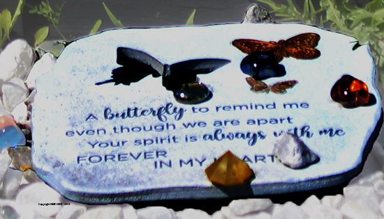 Krista Vanessa Earle